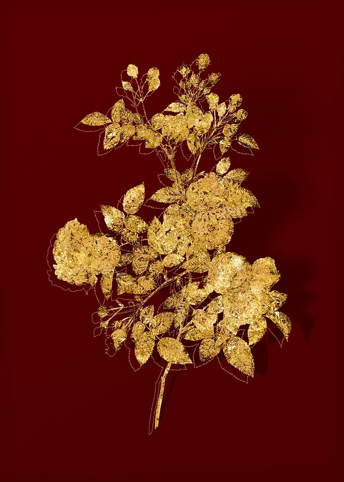 Gold Flora on Red
