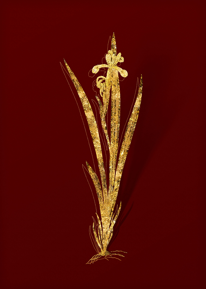 Gold Flower on Red