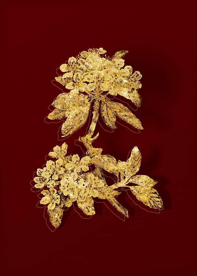 Gold Botanical on Red