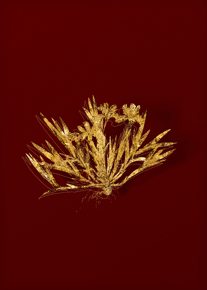 Gold Floral on Red