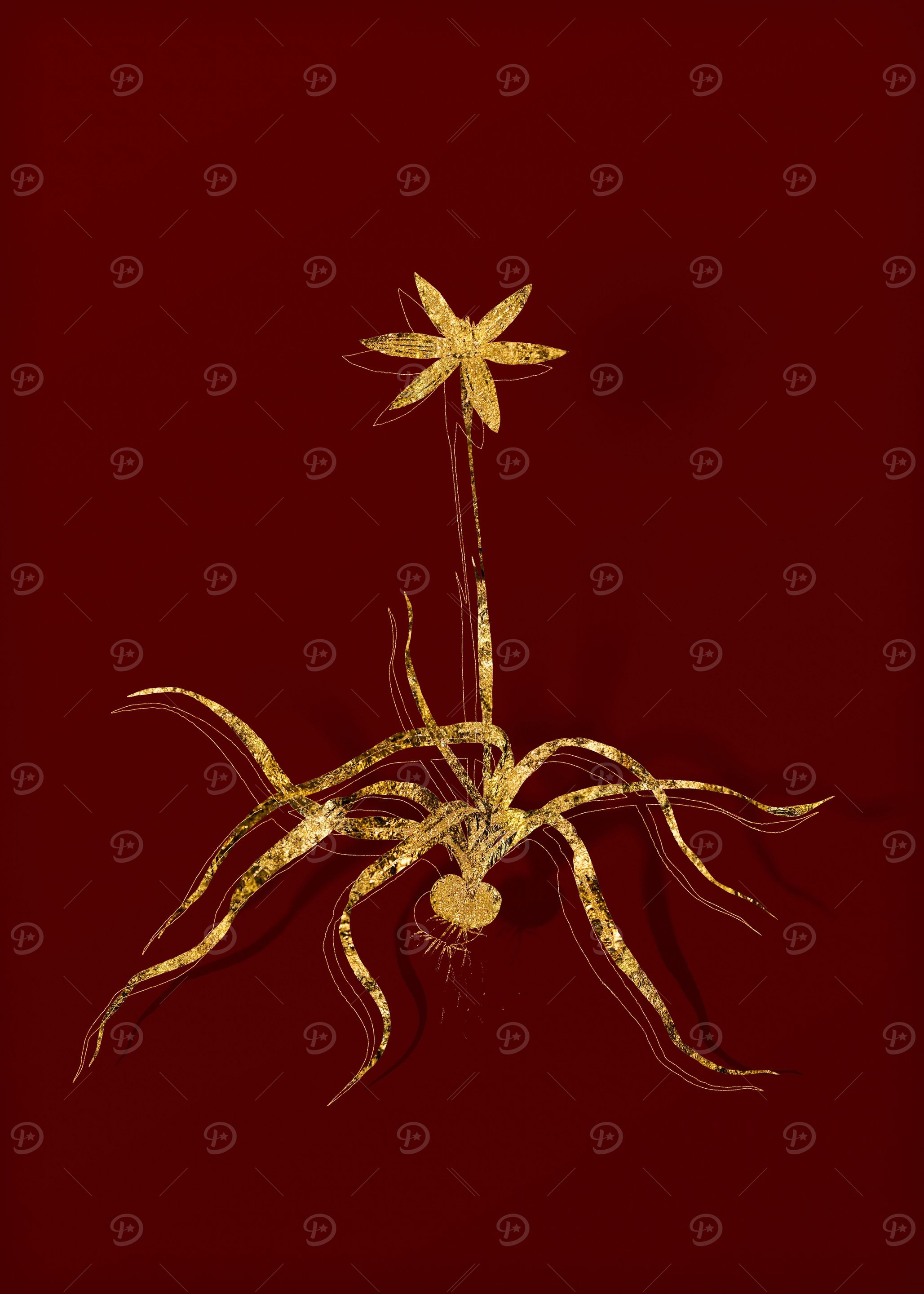 Gold Floral on Red