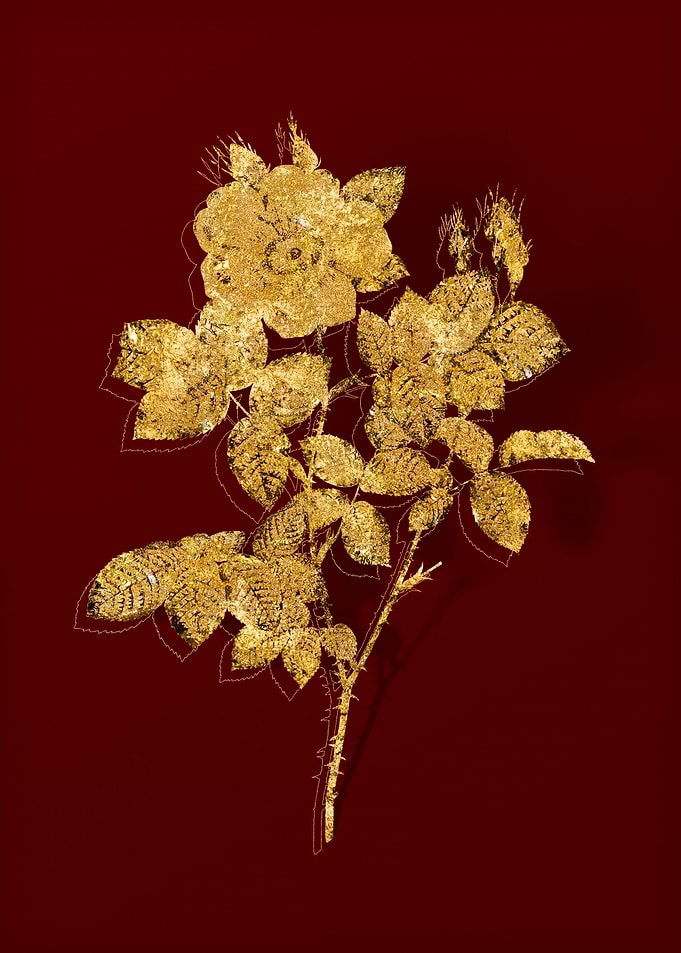 Gold Botanical on Red