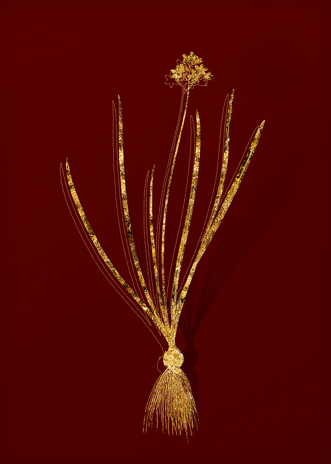 Gold Flora on Red