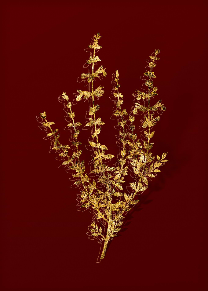 Gold Botanical on Red