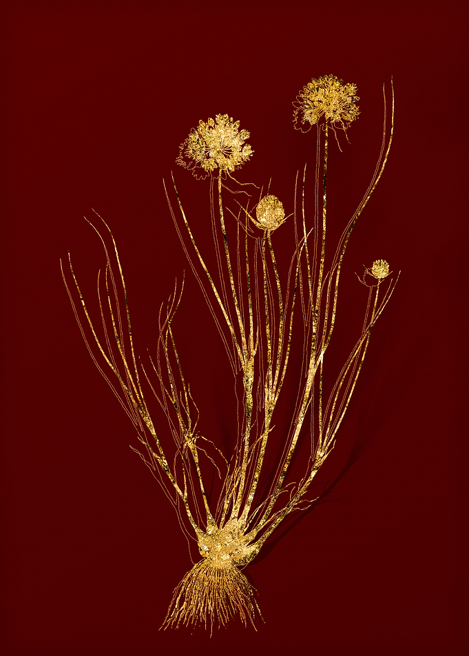 Gold Flora on Red