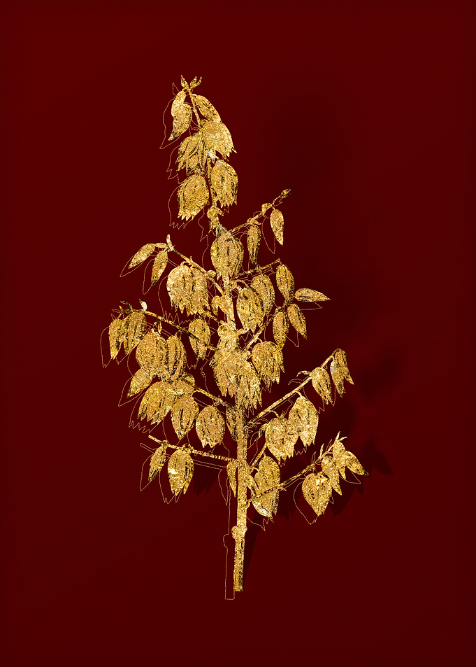 Gold Flora on Red