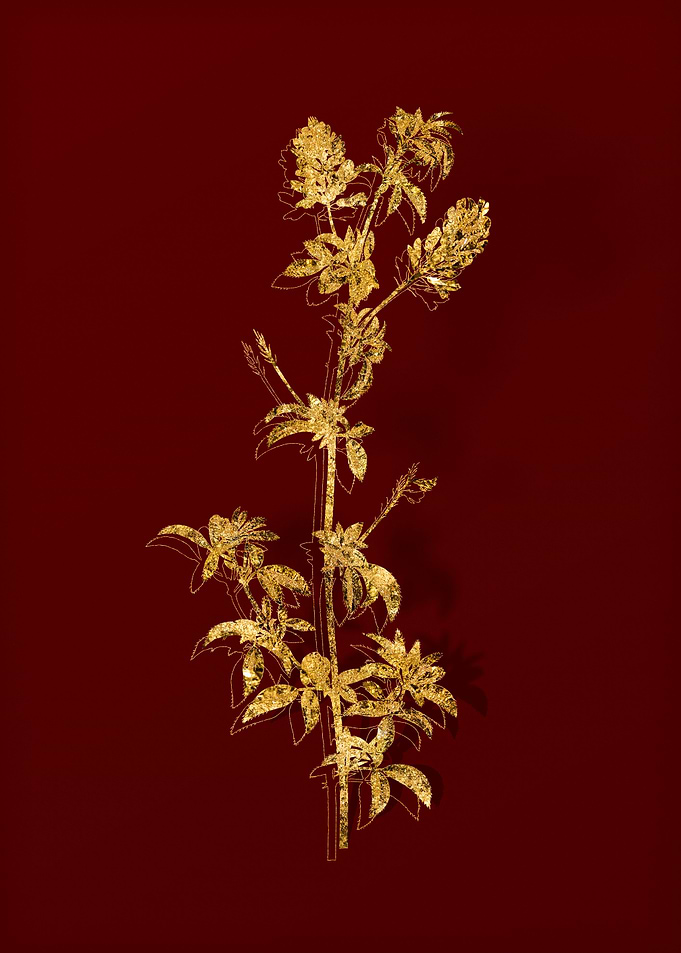 Gold Flora on Red