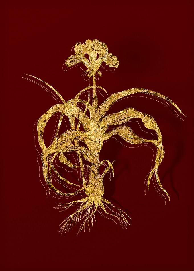Gold Botanical on Red