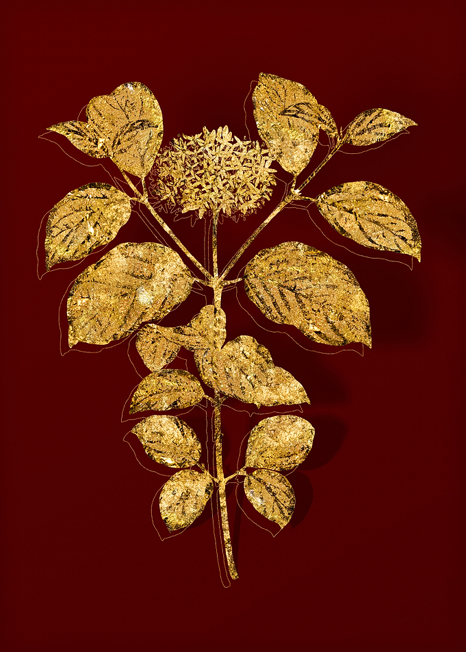 Gold Botanical on Red