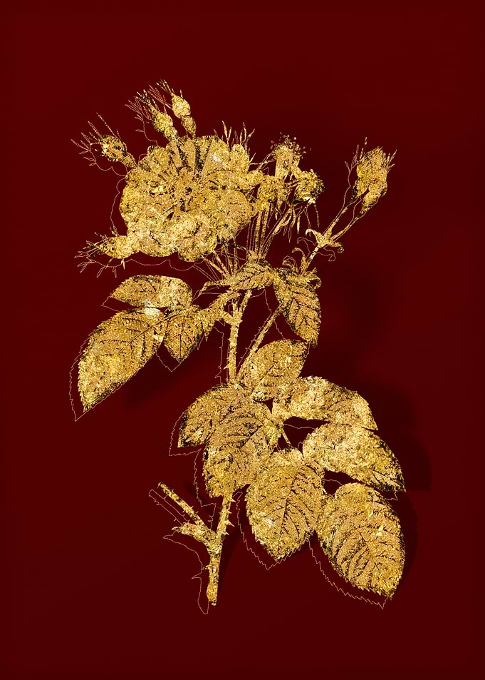 Gold Floral on Red