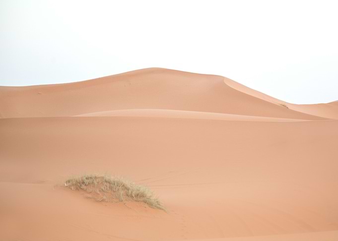 Sahara Desert Morocco