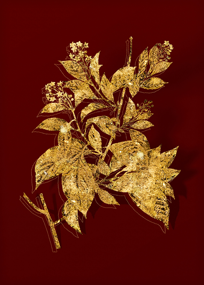 Gold Botanical on Red