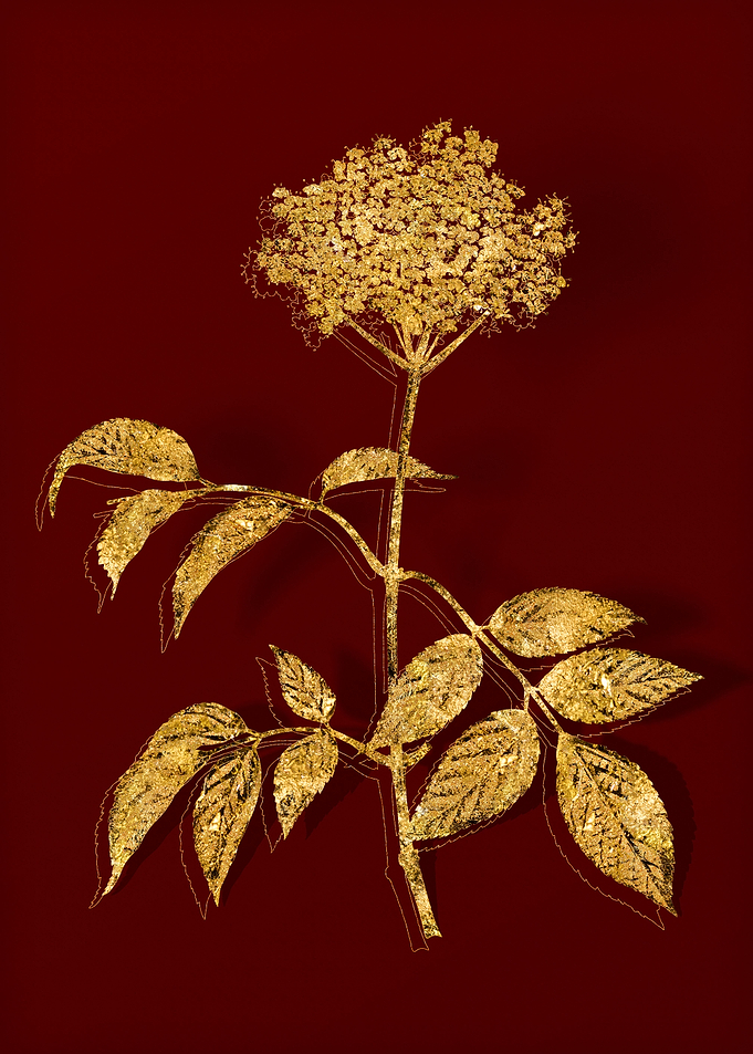 Gold Flower on Red