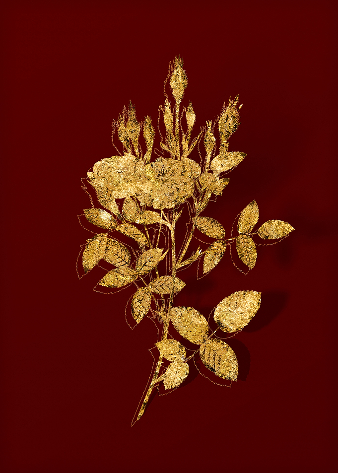 Gold Botanical on Red