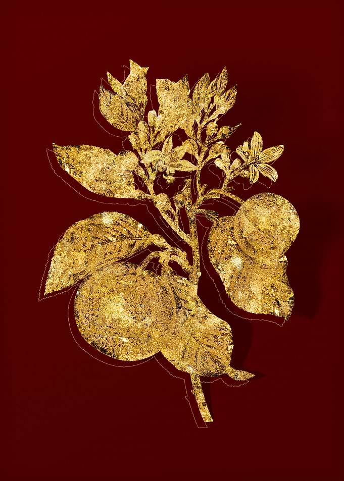 Gold Botanical on Red