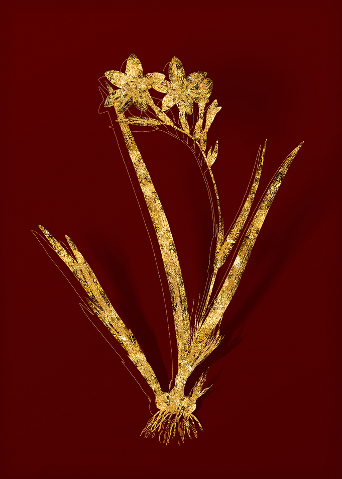Gold Floral on Red