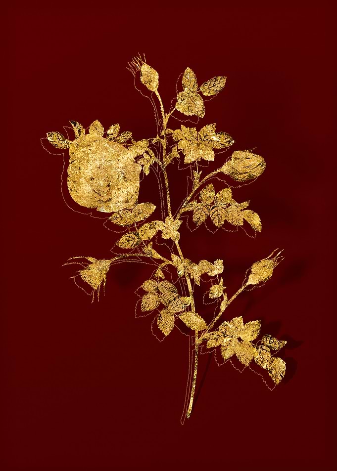 Gold Flora on Red