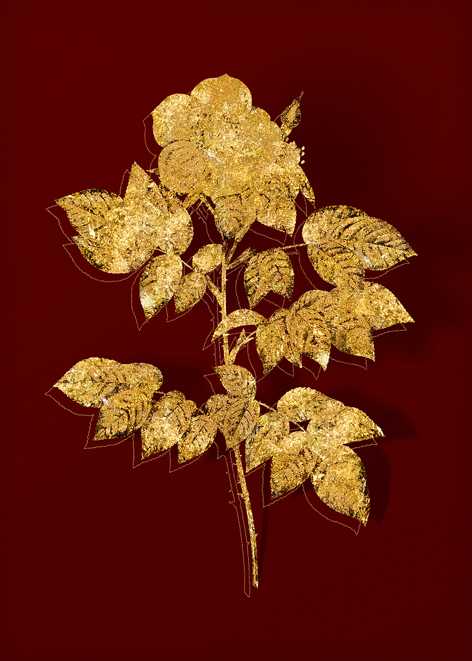 Gold Flower on Red