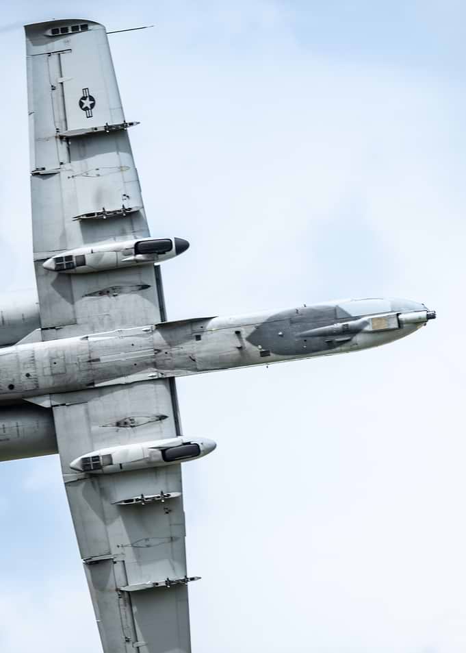 Warthog