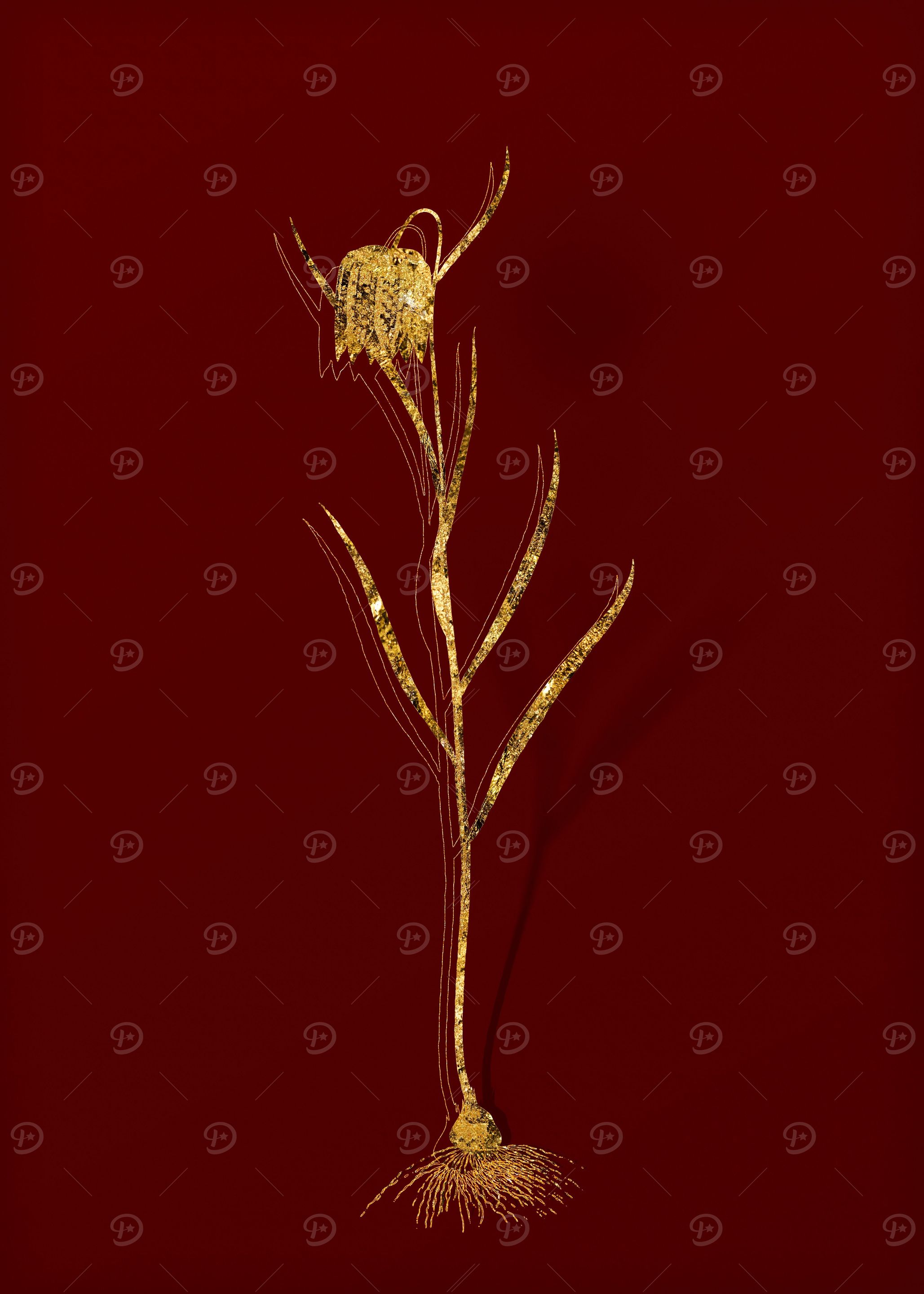 Gold Floral on Red