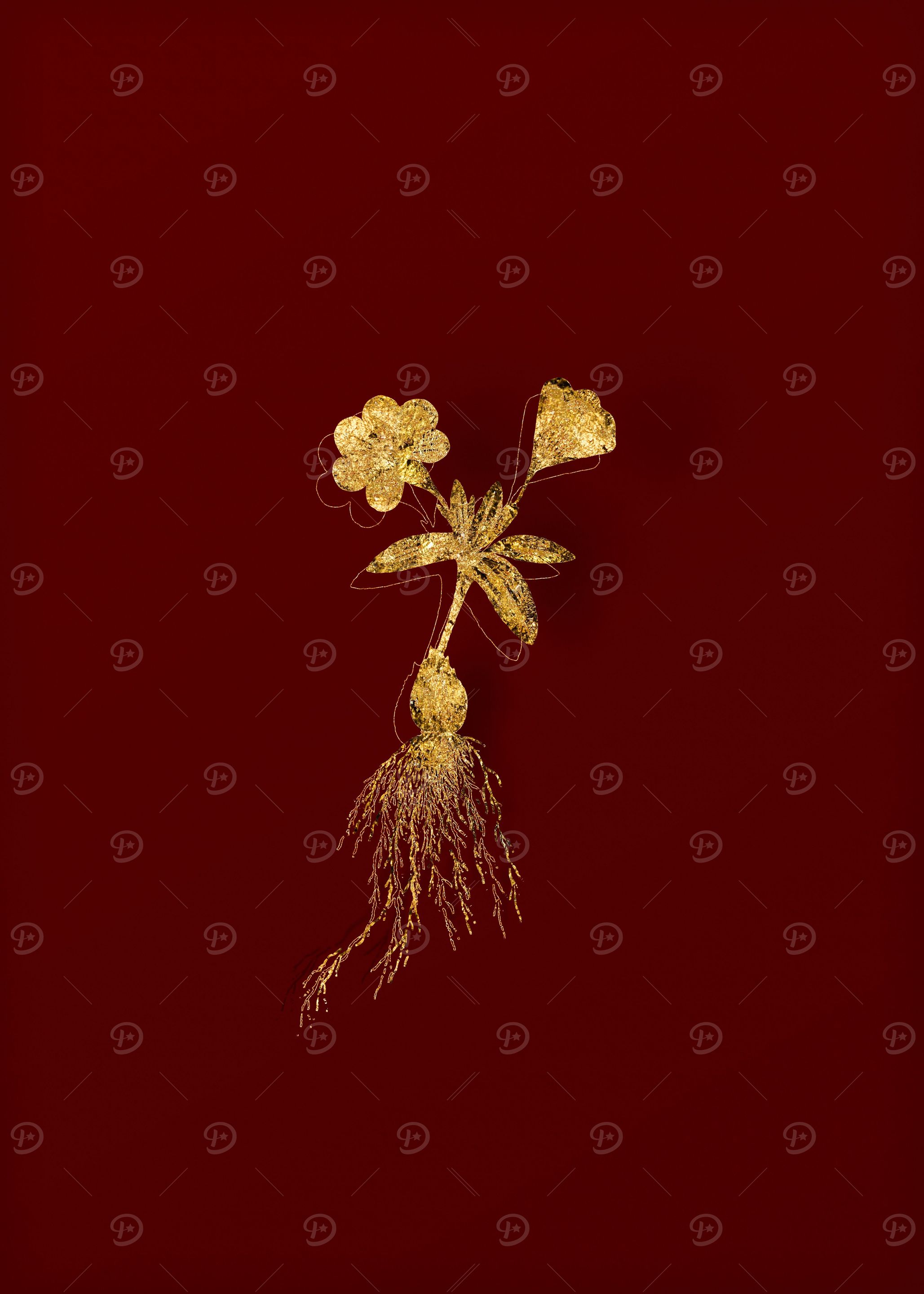 Gold Floral on Red