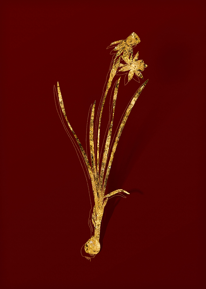 Gold Flora on Red