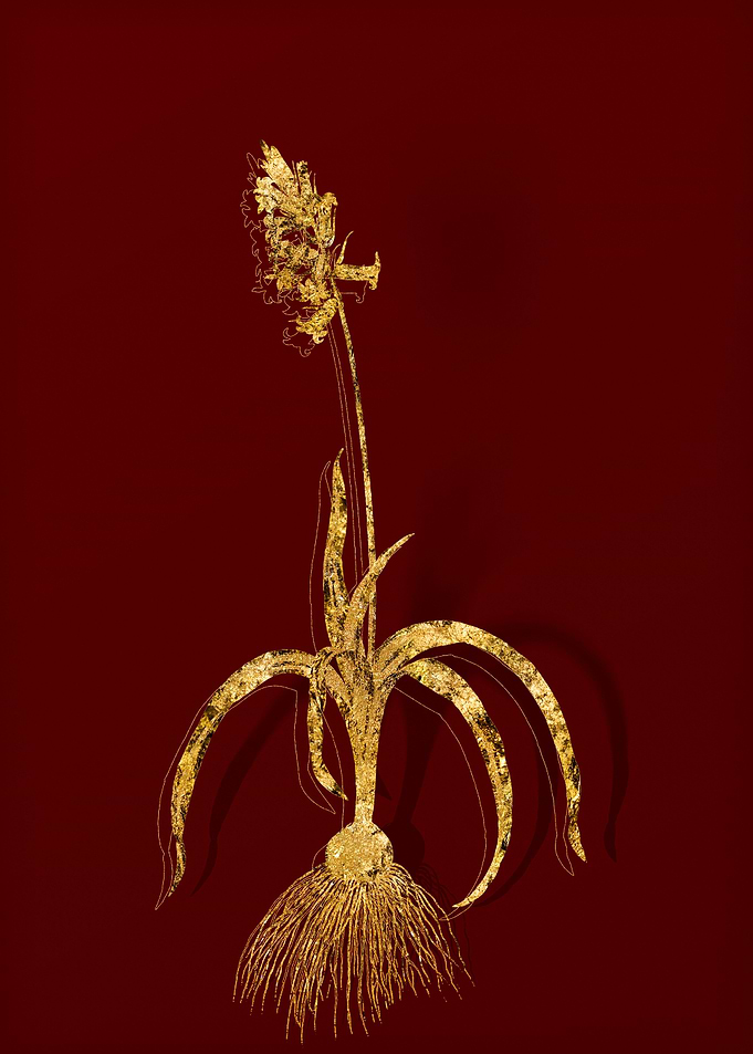 Gold Floral on Red