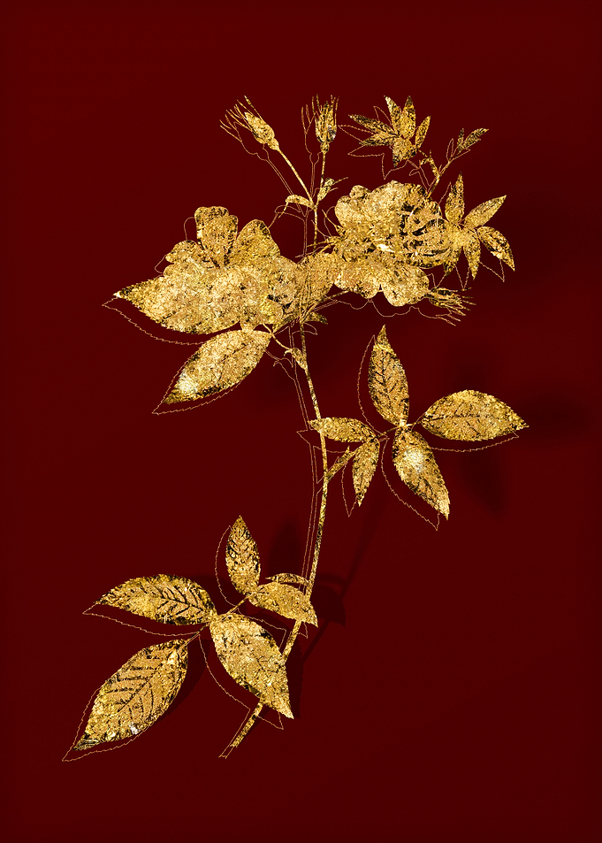 Gold Flower on Red