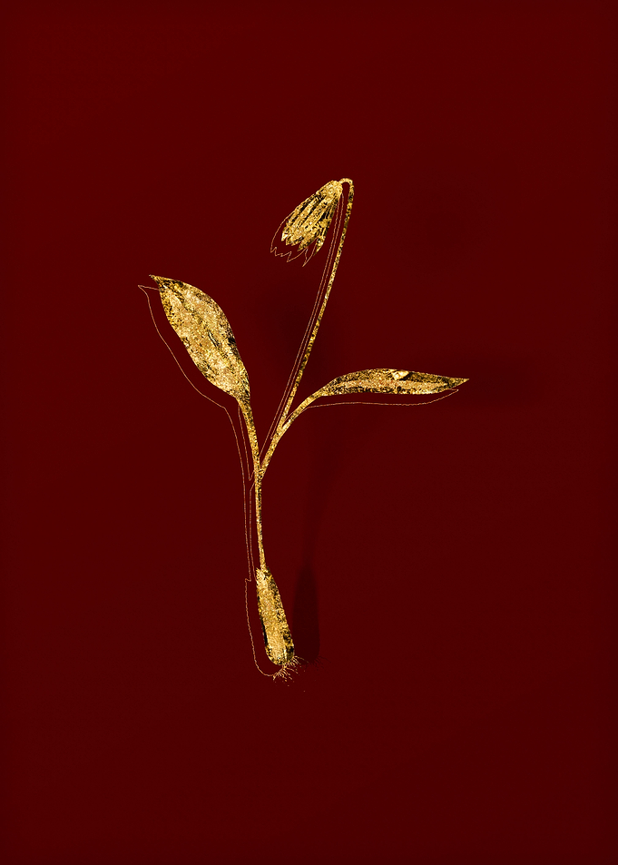 Gold Floral on Red
