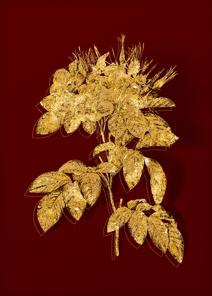 Gold Botanical on Red