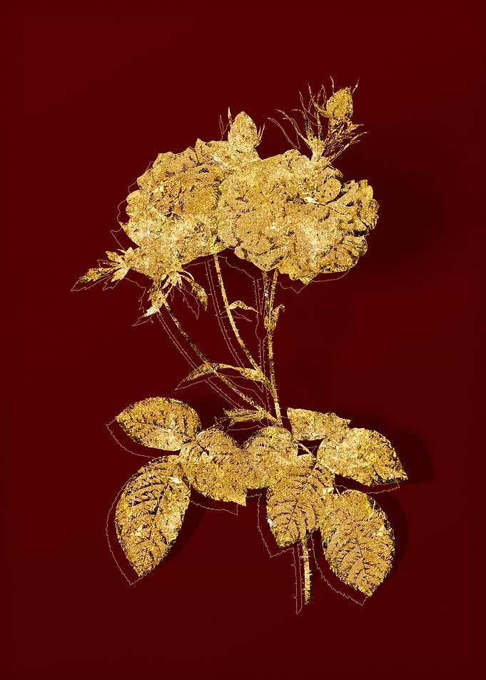 Gold Botanical on Red