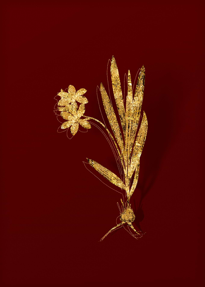 Gold Floral on Red