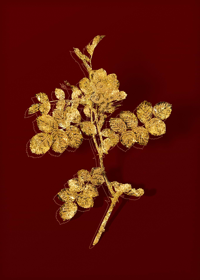 Gold Botanical on Red
