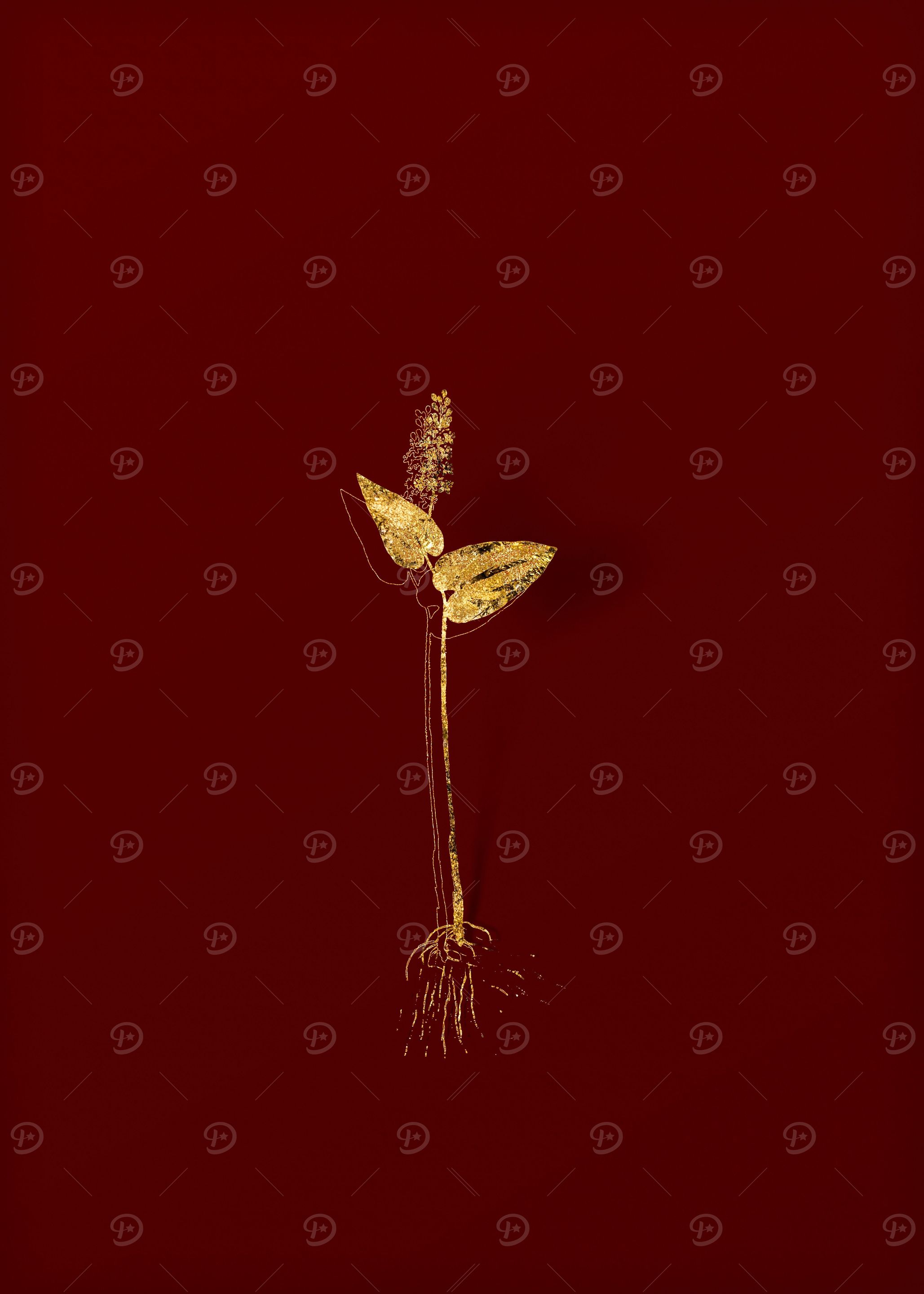 Gold Botanical on Red