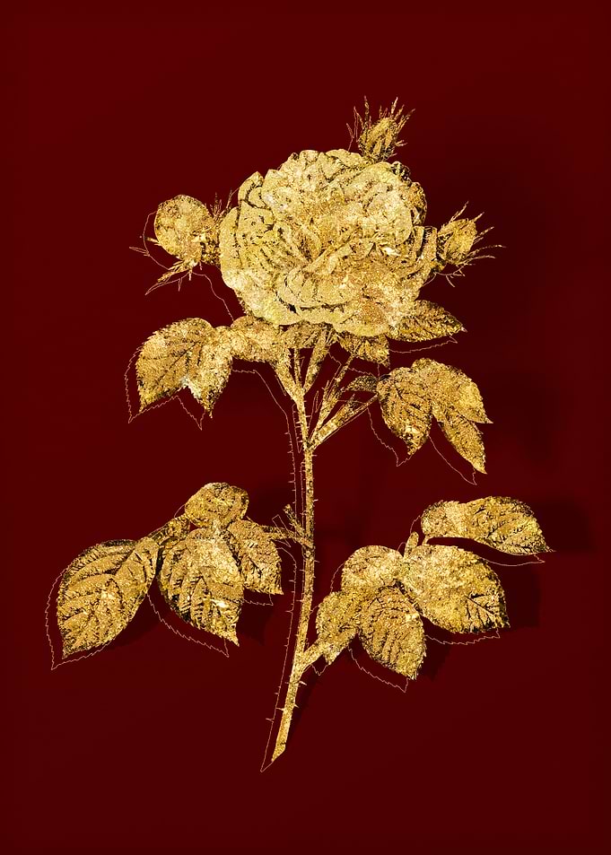 Gold Botanical on Red