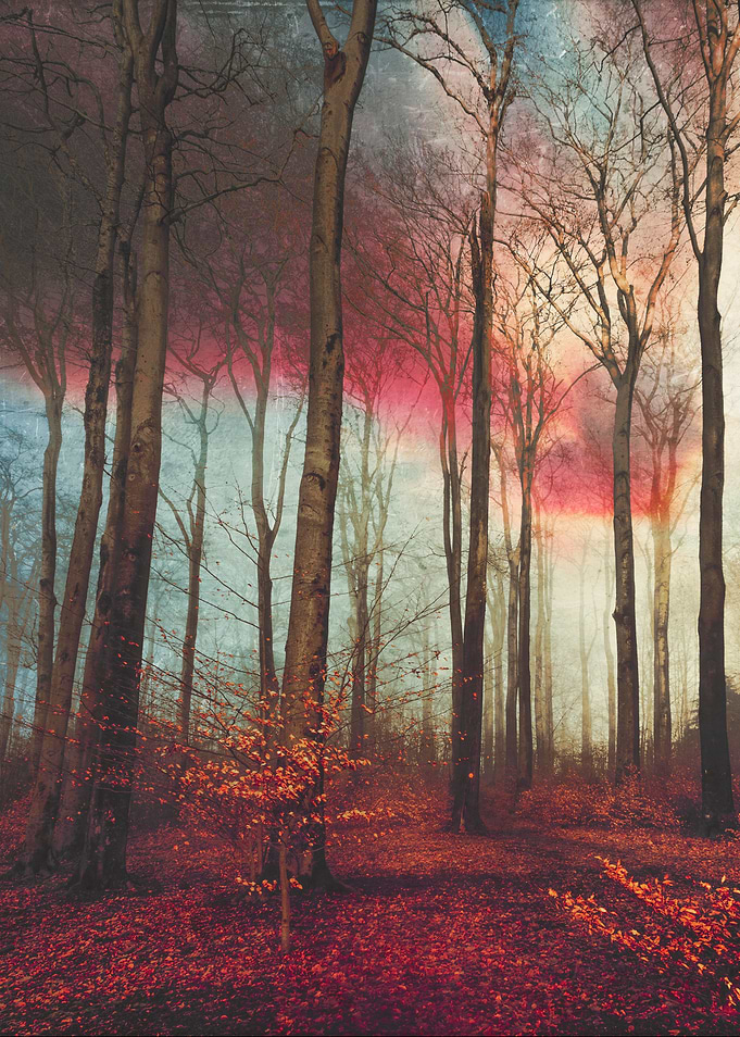 Ruby Red Evening
