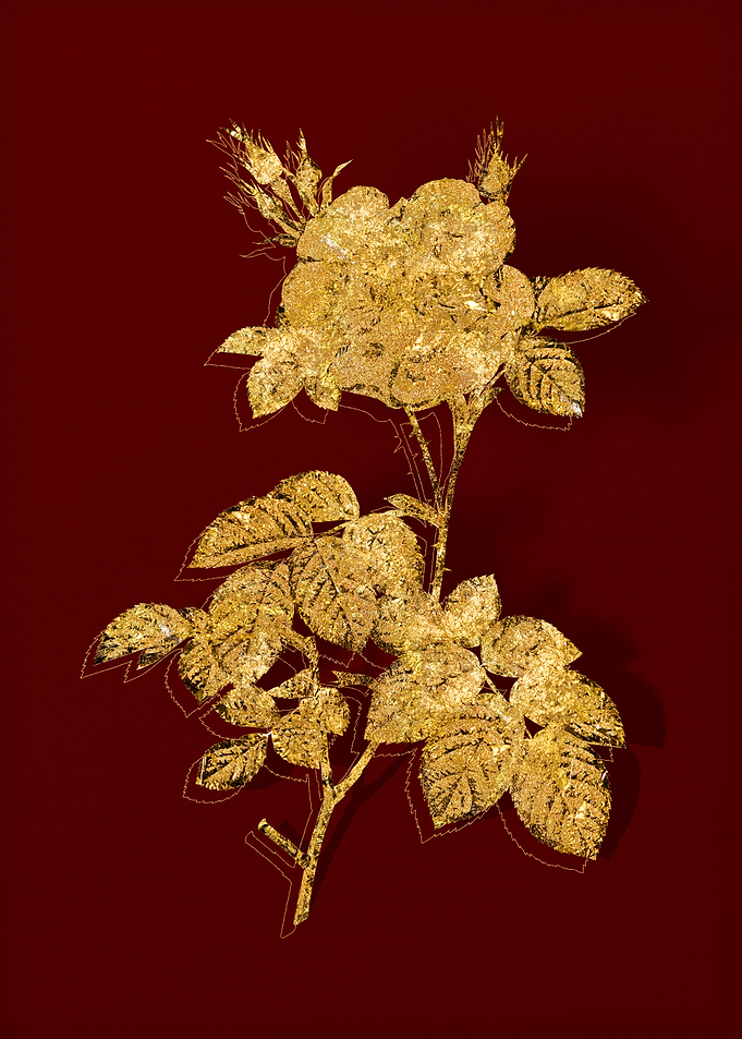 Gold Flower on Red