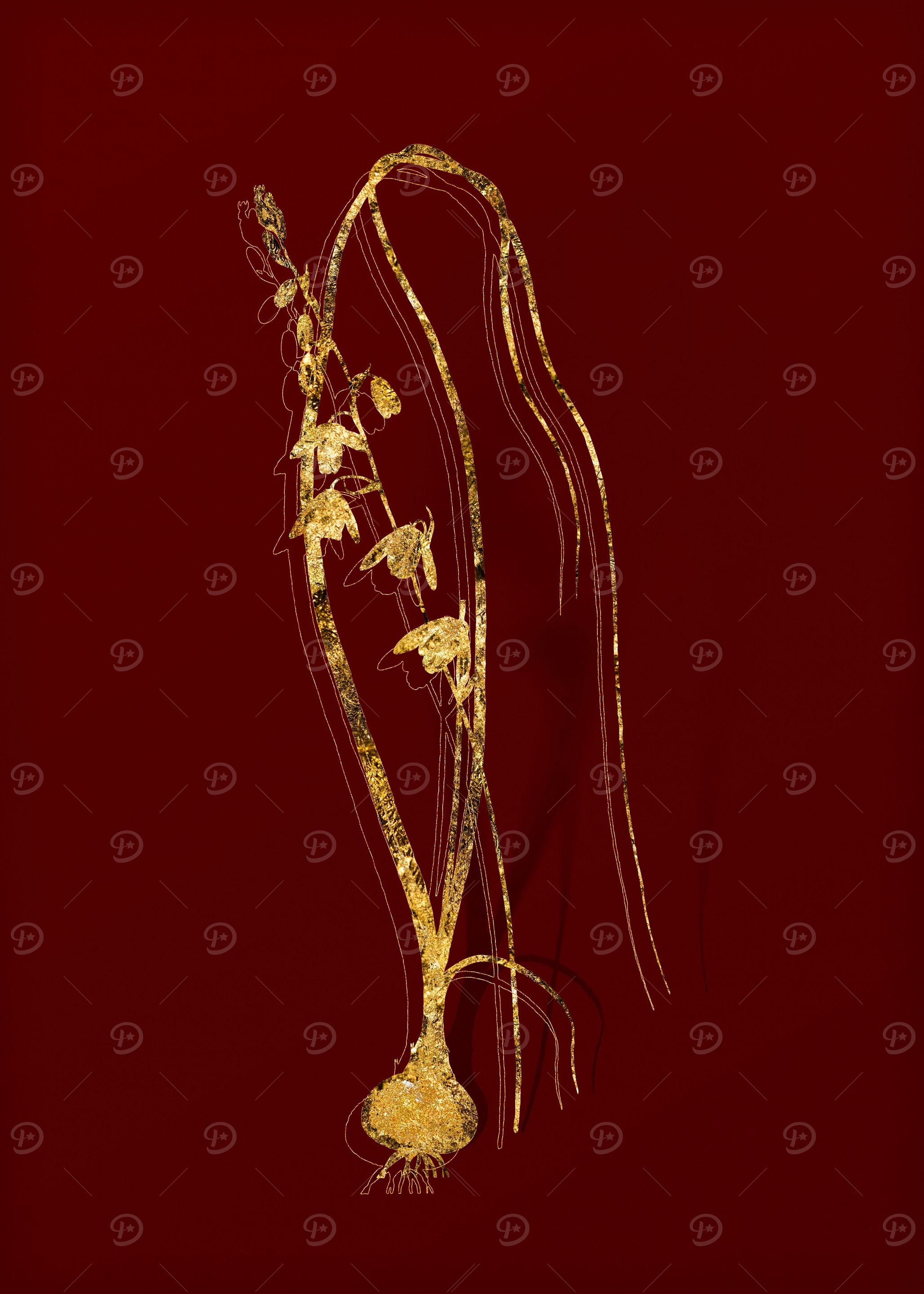 Gold Flora on Red