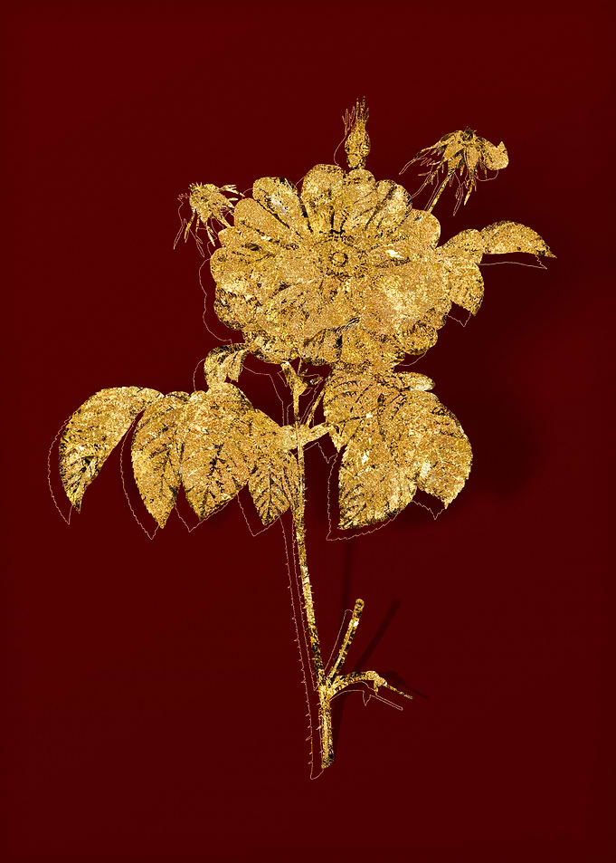 Gold Flora on Red
