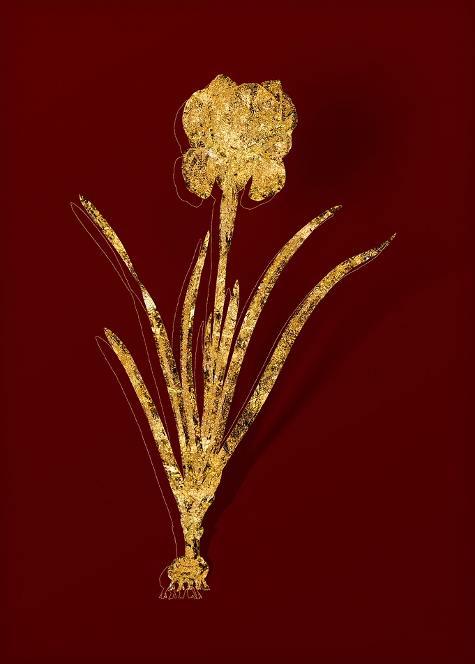 Gold Flora on Red