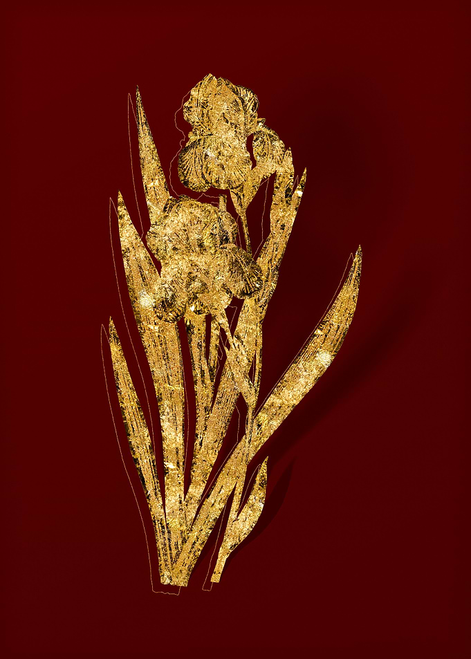 Gold Floral on Red
