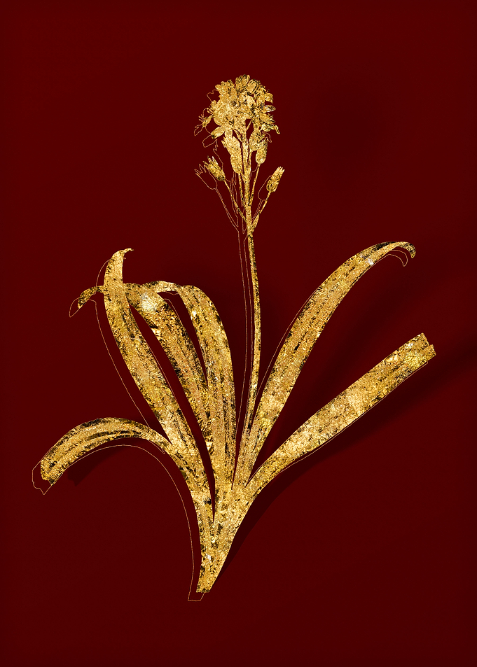Gold Flora on Red