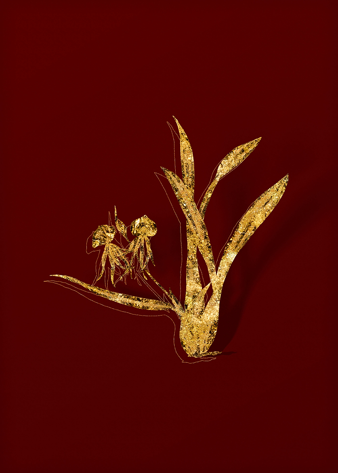 Gold Floral on Red