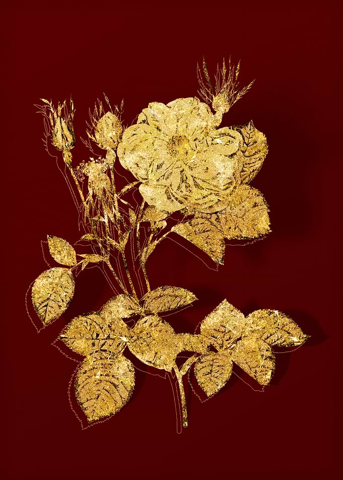 Gold Botanical on Red