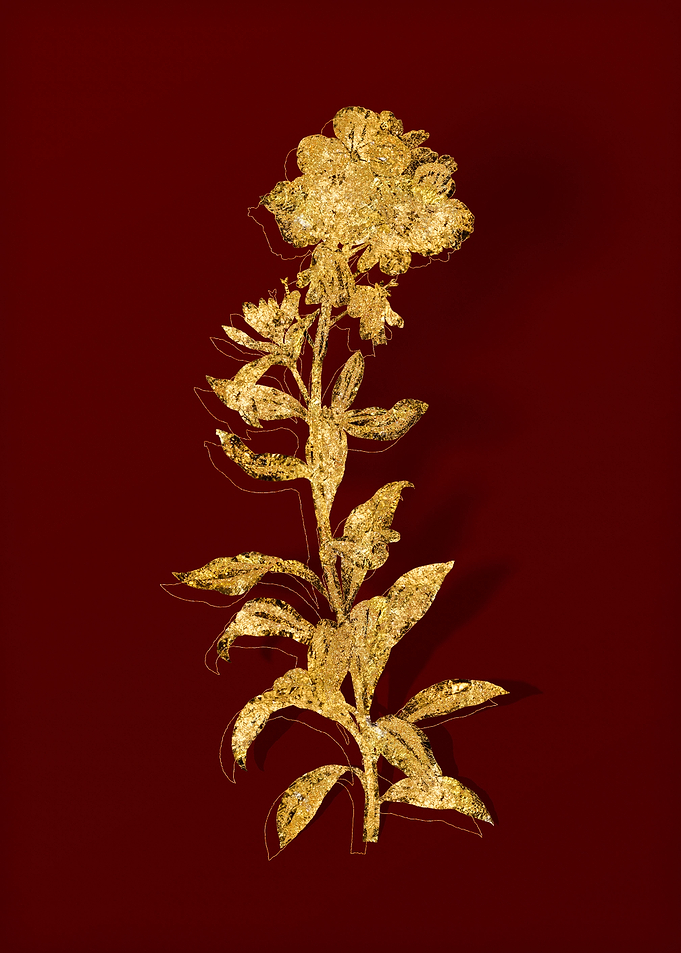 Gold Flower on Red