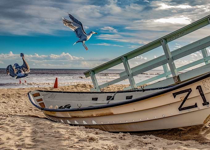 Seagulls and boat