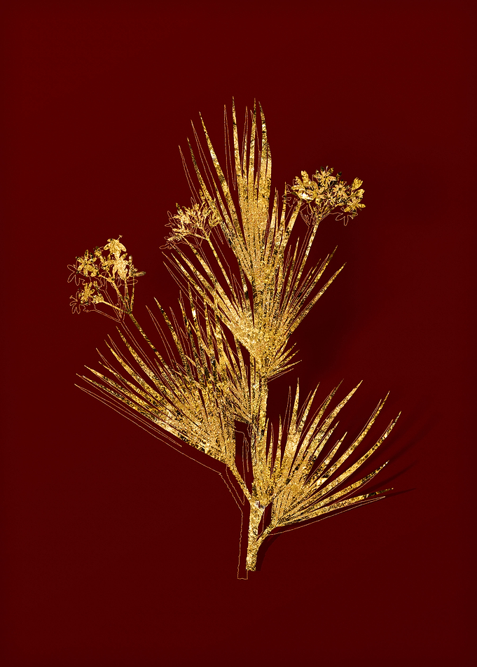 Gold Flower on Red