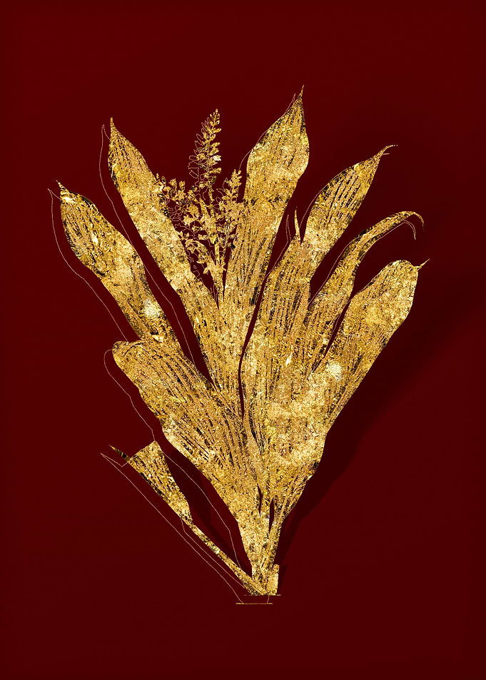 Gold Floral on Red