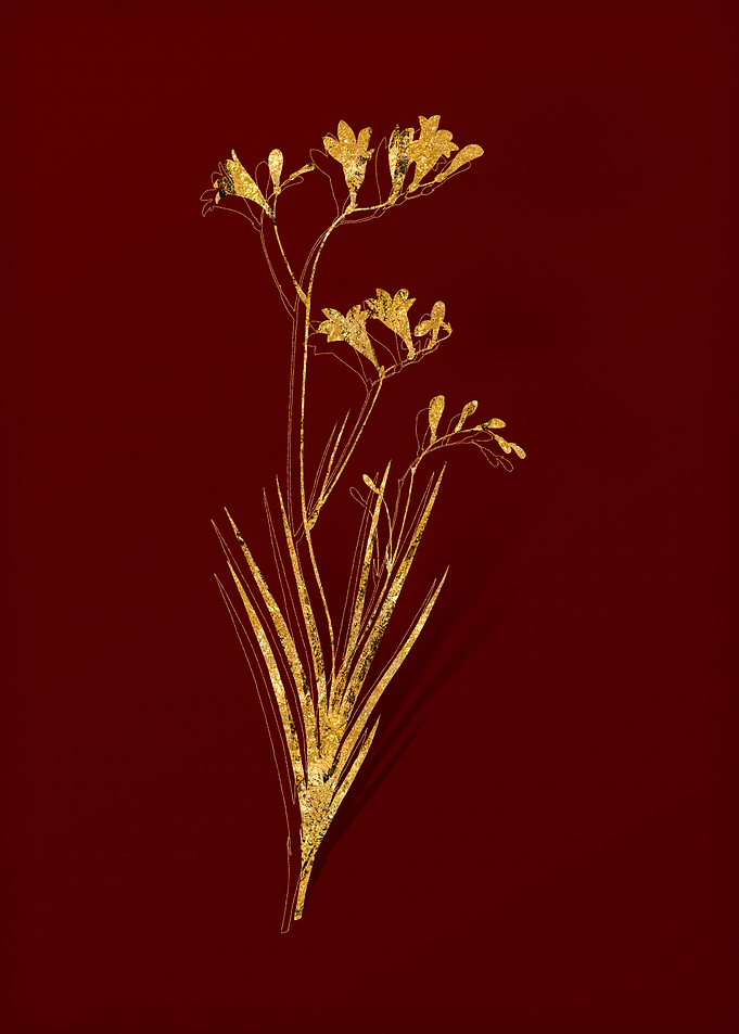 Gold Floral on Red