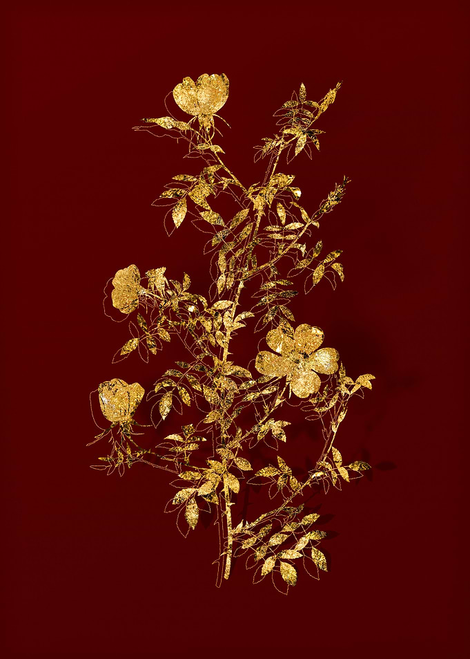 Gold Flower on Red